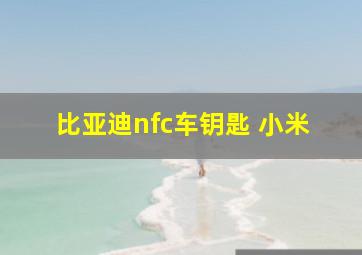 比亚迪nfc车钥匙 小米